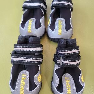 Doggy shoes